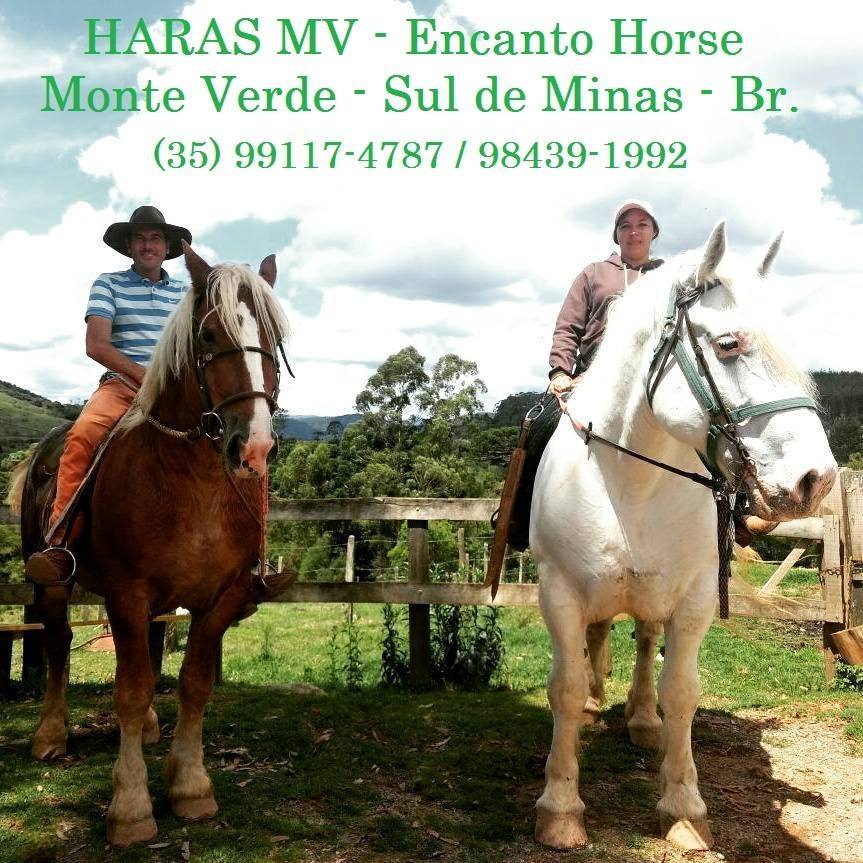 Haras MV Encanto Horse – Haras em Monte Verde - Encontre Cidades